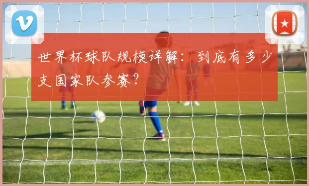 世界杯球队规模详解：到底有多少支国家队参赛？