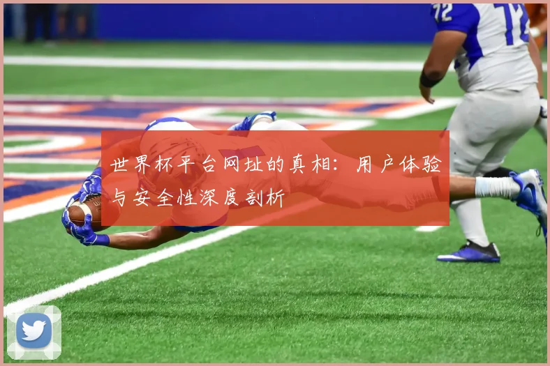 世界杯平台网址的真相：用户体验与安全性深度剖析