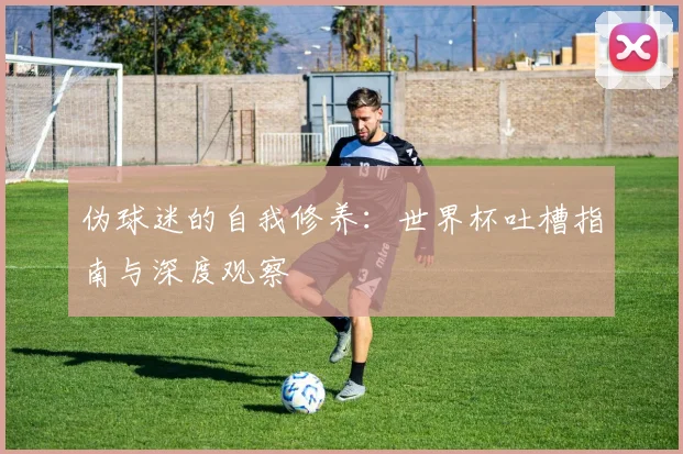 伪球迷的自我修养：世界杯吐槽指南与深度观察