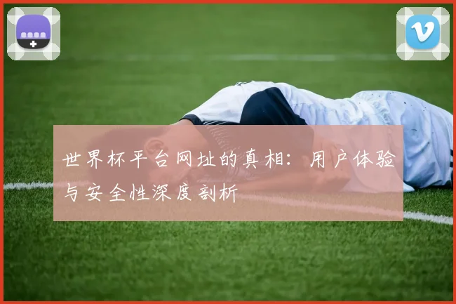 世界杯平台网址的真相：用户体验与安全性深度剖析