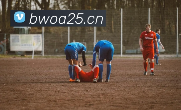 App Interface Preview